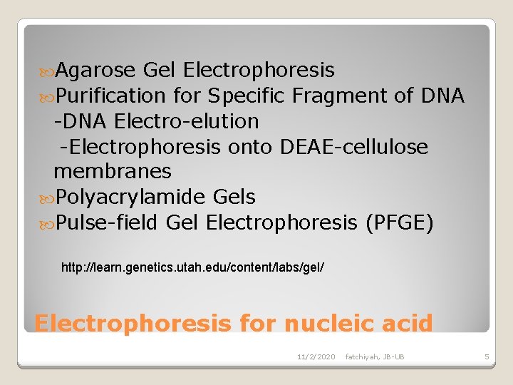  Agarose Gel Electrophoresis Purification for Specific Fragment of DNA -DNA Electro-elution -Electrophoresis onto