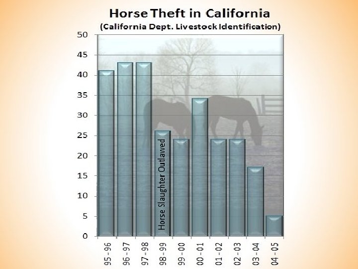 Horse Theft • Horse theft has a devastating effect on horse owners who are