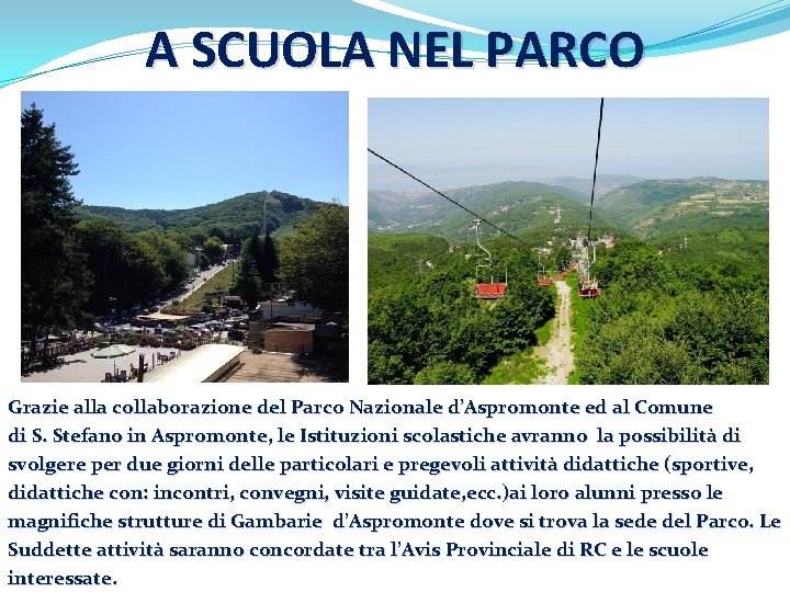 A SCUOLA NEL PARCO Grazie alla collaborazione del Parco Nazionale d’Aspromonte ed al Comune A SCUOLA NEL PARCO Grazie alla collaborazione del Parco Nazionale d’Aspromonte ed al Comune