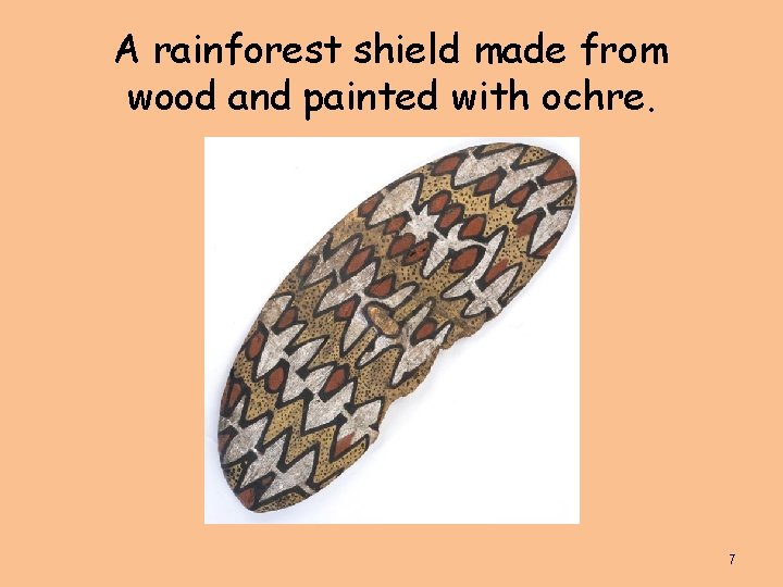 A rainforest shield made from wood and painted with ochre. 7 