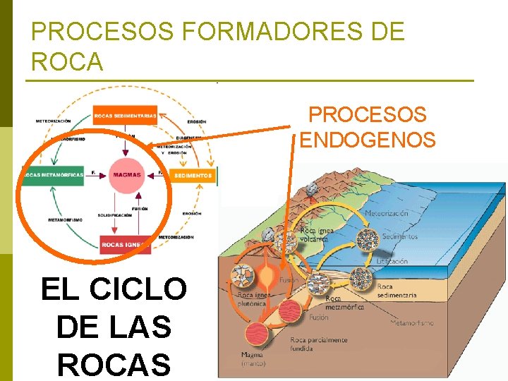 PROCESOS FORMADORES DE ROCA PROCESOS ENDOGENOS EL CICLO DE LAS ROCAS 