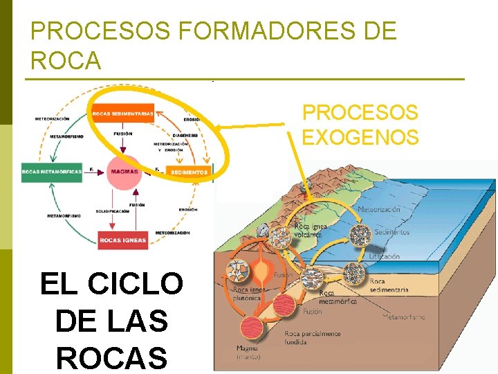 PROCESOS FORMADORES DE ROCA PROCESOS EXOGENOS EL CICLO DE LAS ROCAS 