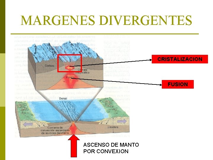 MARGENES DIVERGENTES CRISTALIZACION FUSION ASCENSO DE MANTO POR CONVEXION 