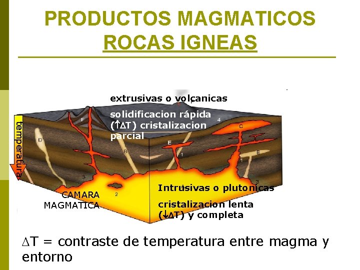 PRODUCTOS MAGMATICOS ROCAS IGNEAS extrusivas o volcanicas temperatura solidificacion rápida ( DT) cristalizacion parcial