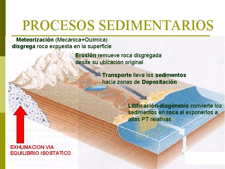 PROCESOS SEDIMENTARIOS Meteorización (Mecánica+Química) disgrega roca expuesta en la superficie Erosión remueve roca disgregada