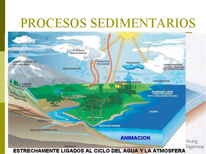 PROCESOS SEDIMENTARIOS ANIMACION ESTRECHAMENTE LIGADOS AL CICLO DEL AGUA Y LA ATMOSFERA 