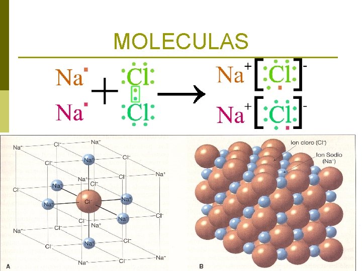 MOLECULAS 
