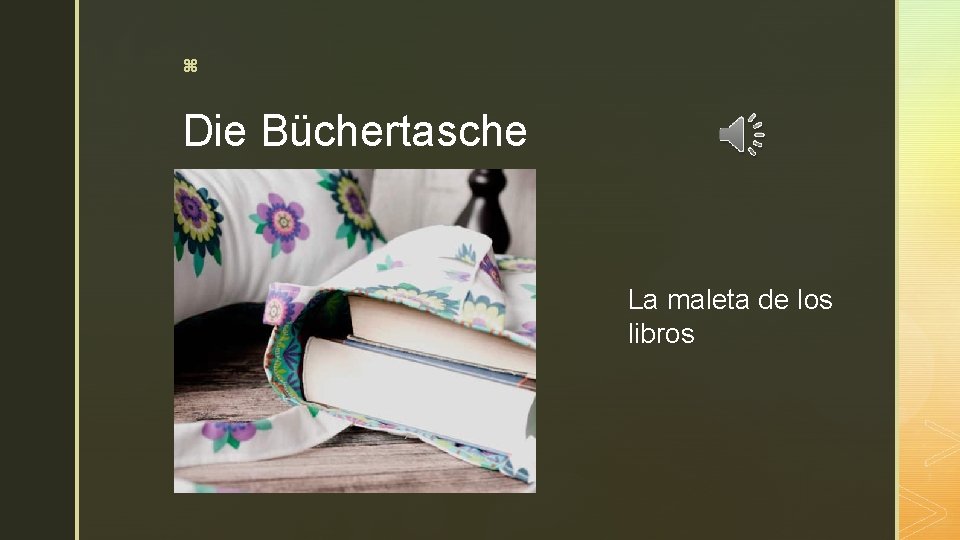 z Die Büchertasche La maleta de los libros 