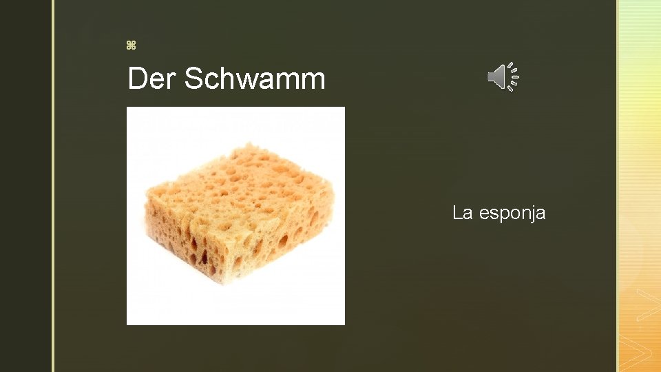z Der Schwamm La esponja 