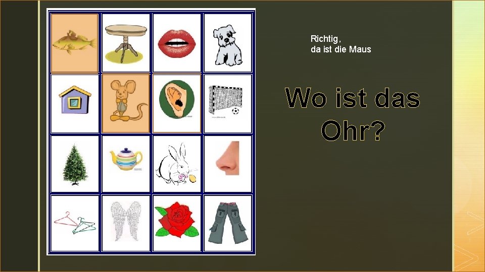 z Richtig, da ist die Maus Wo ist das Ohr? 