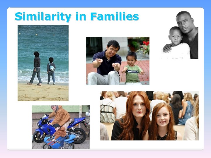Similarity in Families 