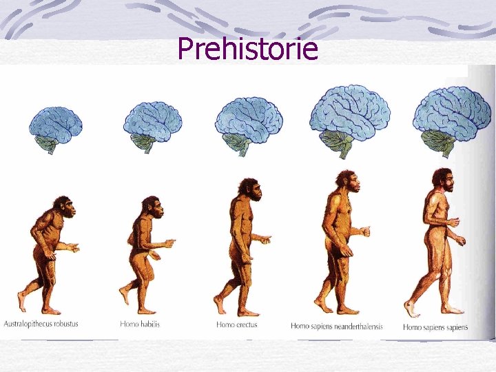 Prehistorie Prehistorie