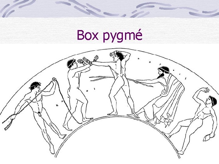 Box pygmé Box pygmé