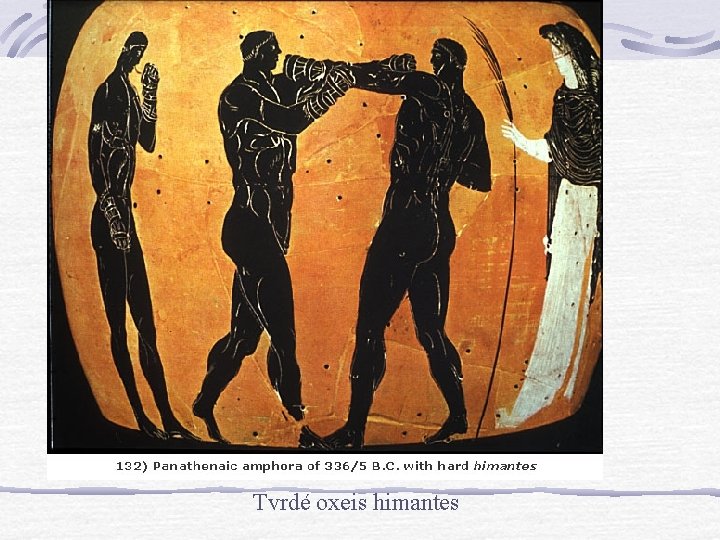 Tvrdé oxeis himantes Tvrdé oxeis himantes