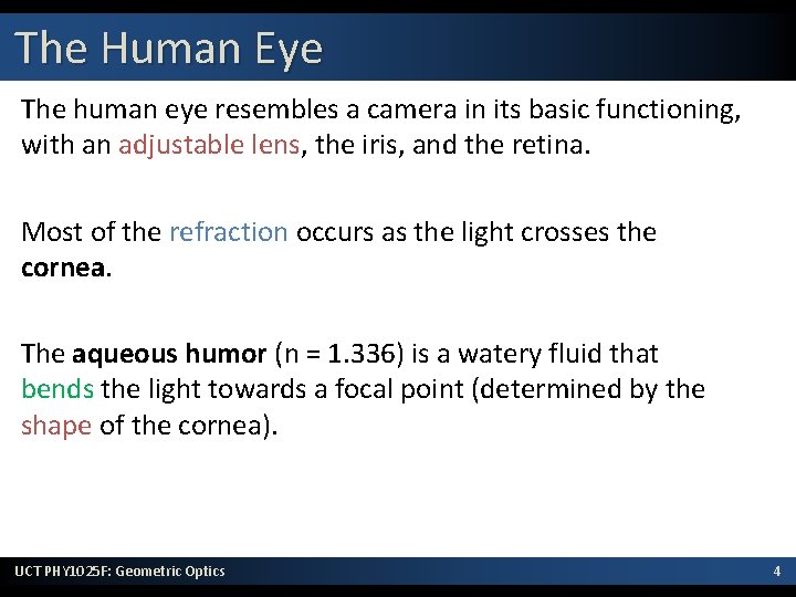 The Human Eye The human eye resembles a camera in its basic functioning, with