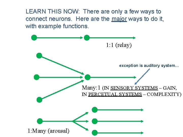 LEARN THIS NOW: There are only a few ways to connect neurons. Here are