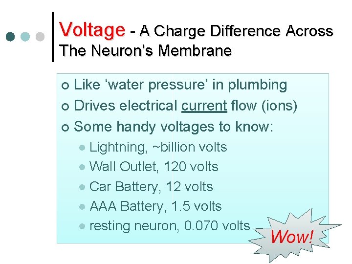 Voltage - A Charge Difference Across The Neuron’s Membrane Like ‘water pressure’ in plumbing