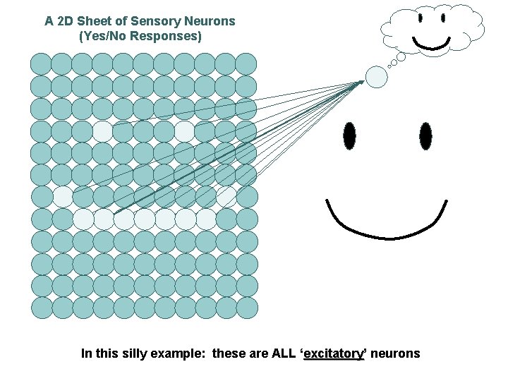 A 2 D Sheet of Sensory Neurons (Yes/No Responses) In this silly example: these