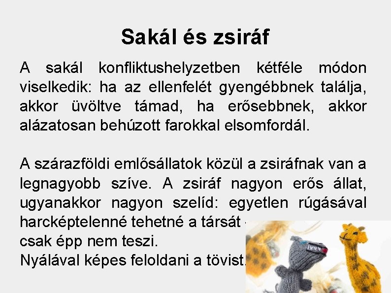 Sakál és zsiráf A sakál konfliktushelyzetben kétféle módon viselkedik: ha az ellenfelét gyengébbnek találja,