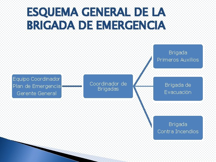 ESQUEMA GENERAL DE LA BRIGADA DE EMERGENCIA Brigada Primeros Auxilios Equipo Coordinador Plan de