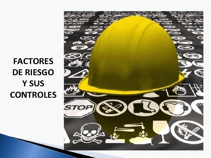 FACTORES DE RIESGO Y SUS CONTROLES 