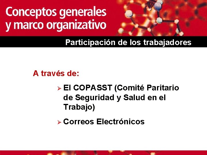 Participación de los trabajadores A través de: Ø El COPASST (Comité Paritario de Seguridad