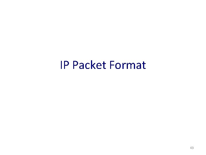 IP Packet Format 43 