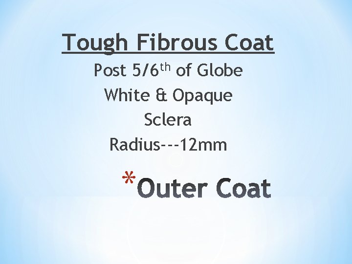 Tough Fibrous Coat Post 5/6 th of Globe White & Opaque Sclera Radius---12 mm