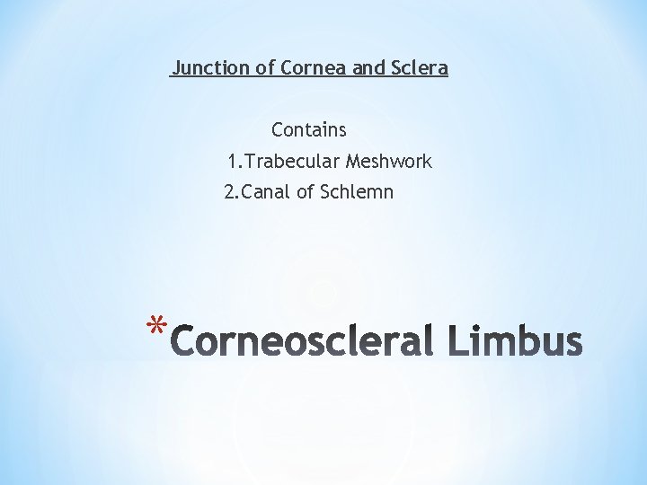 Junction of Cornea and Sclera Contains 1. Trabecular Meshwork 2. Canal of Schlemn *