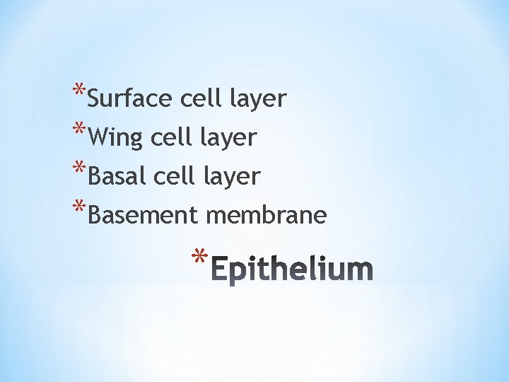 *Surface cell layer *Wing cell layer *Basal cell layer *Basement membrane * 