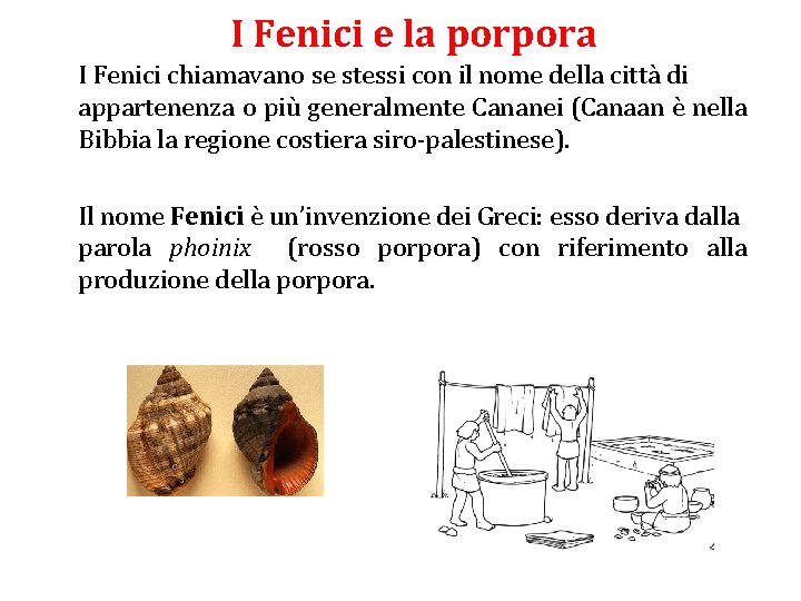 I Fenici e la porpora I Fenici chiamavano se stessi con il nome della