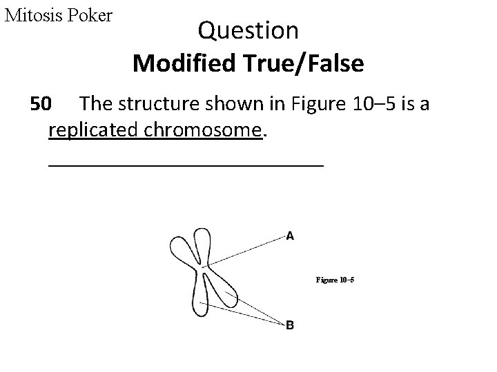 Mitosis Poker Question Modified True/False 50 The structure shown in Figure 10– 5 is