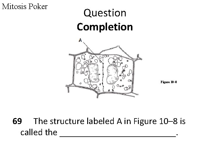 Mitosis Poker Question Completion Figure 10– 8 69 The structure labeled A in Figure