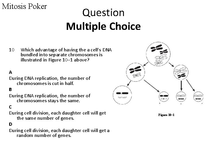 Mitosis Poker 10 Question Multiple Choice Which advantage of having the a cell’s DNA