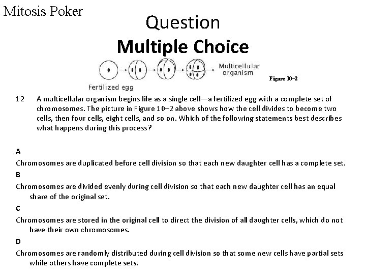 Mitosis Poker Question Multiple Choice Figure 10– 2 12 A multicellular organism begins life