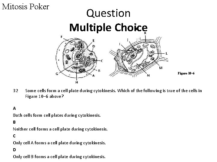 Mitosis Poker Question Multiple Choice Figure 10– 6 32 Some cells form a cell