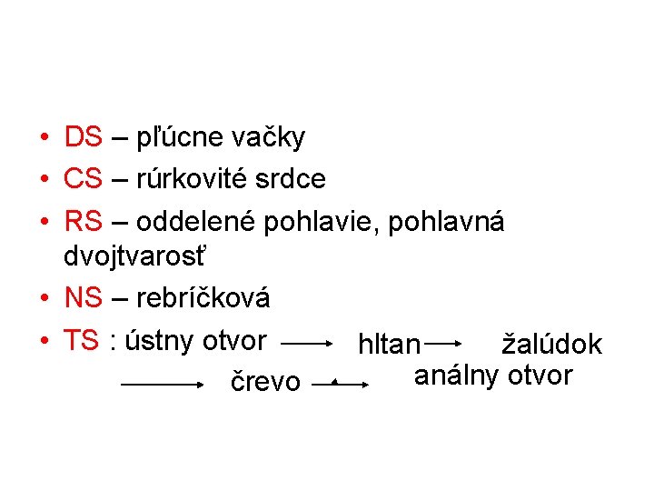  • DS – pľúcne vačky • CS – rúrkovité srdce • RS –