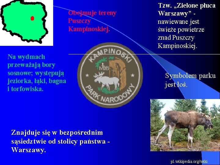 Obejmuje tereny Puszczy Kampinoskiej. Na wydmach przeważają bory sosnowe; występują jeziorka, łąki, bagna i