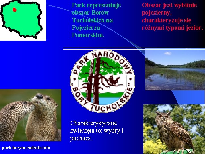 Park reprezentuje obszar Borów Tucholskich na Pojezierzu Pomorskim. Charakterystyczne zwierzęta to: wydry i puchacz.