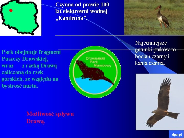 Czynna od prawie 100 lat elektrowni wodnej „Kamienna”. Park obejmuje fragment Puszczy Drawskiej, wraz