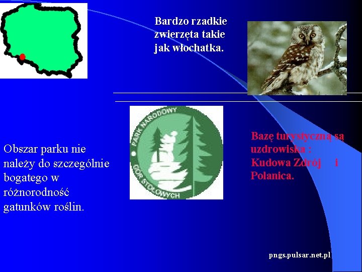 Bardzo rzadkie zwierzęta takie jak włochatka. Obszar parku nie należy do szczególnie bogatego w