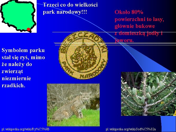 Trzeci co do wielkości park narodowy!!! Około 80% powierzchni to lasy, głównie bukowe z