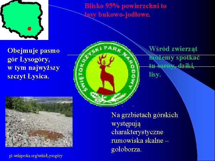 Blisko 95% powierzchni to lasy bukowo-jodłowe. Obejmuje pasmo gór Łysogóry, w tym najwyższy szczyt