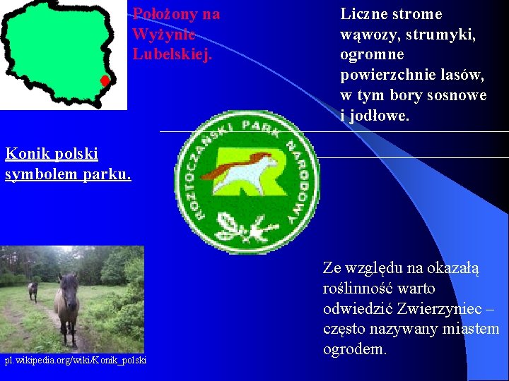 Położony na Wyżynie Lubelskiej. Liczne strome wąwozy, strumyki, ogromne powierzchnie lasów, w tym bory