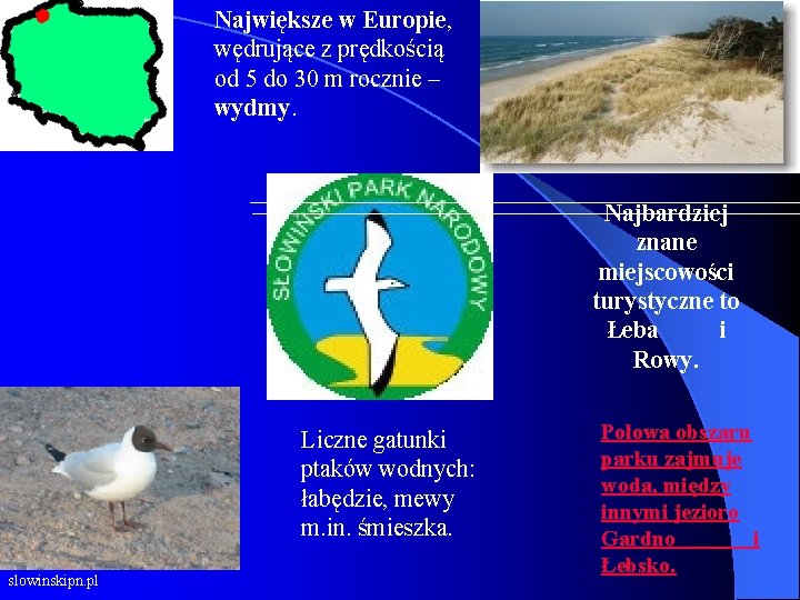 Największe w Europie, wędrujące z prędkością od 5 do 30 m rocznie – wydmy.