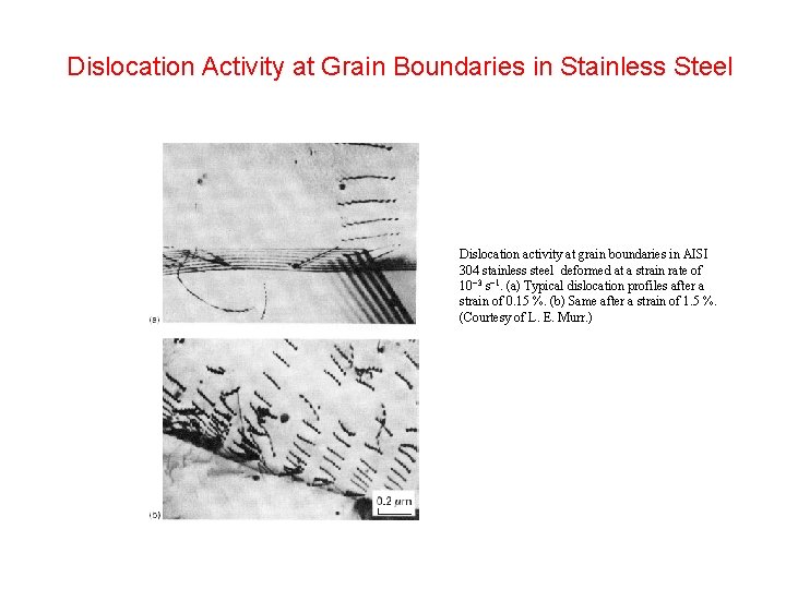 Dislocation Activity at Grain Boundaries in Stainless Steel Dislocation activity at grain boundaries in