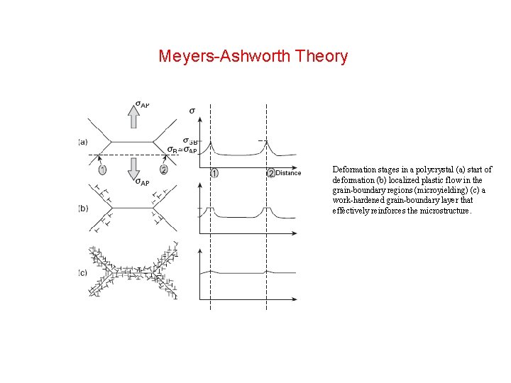 Meyers-Ashworth Theory Deformation stages in a polycrystal (a) start of deformation (b) localized plastic