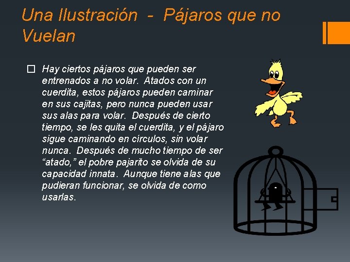 Una Ilustración - Pájaros que no Vuelan � Hay ciertos pájaros que pueden ser Una Ilustración - Pájaros que no Vuelan � Hay ciertos pájaros que pueden ser