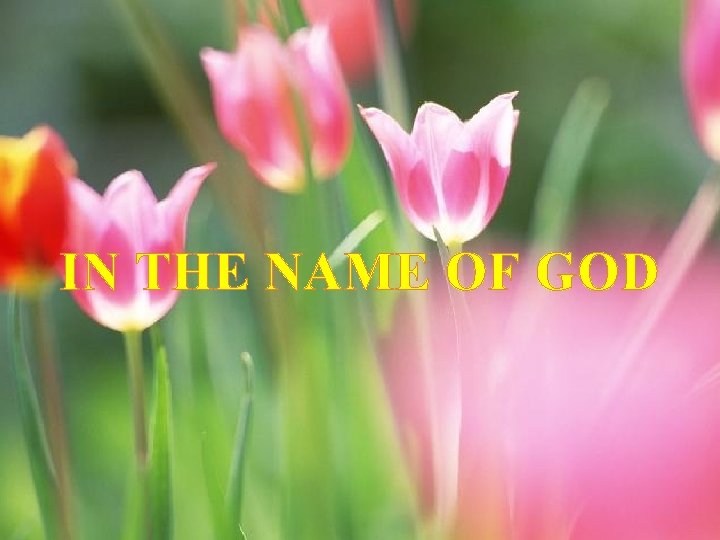 IN THE NAME OF GOD 