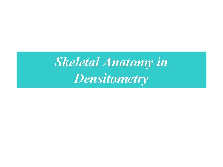 Skeletal Anatomy in Densitometry 